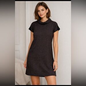 Skunkfunk Chic Knit Shift Dress Mock Neck Short Sleeve Minimalist Size 2
